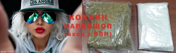молекула духа Алексин