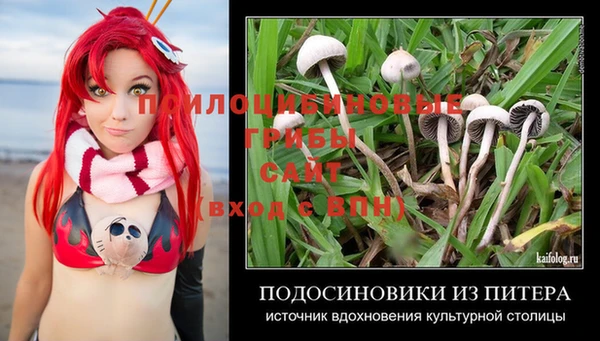 молекула духа Алексин