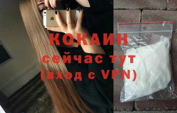 молекула духа Алексин