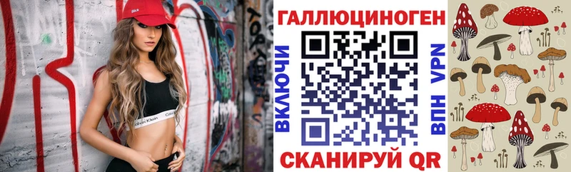 цена наркотик  Бакал  Псилоцибиновые грибы Psilocybe 